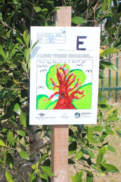 Randwick Tree Artwork10