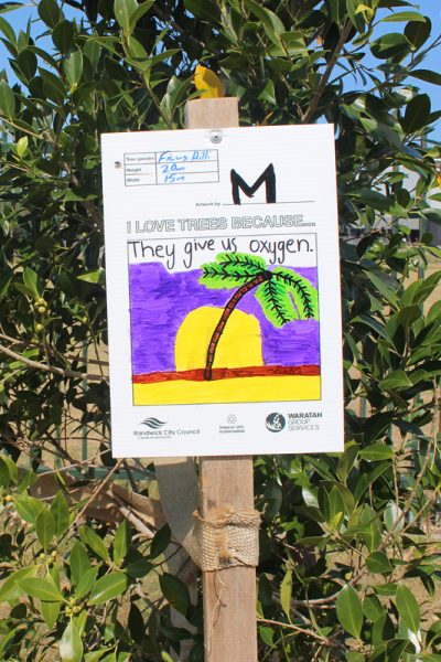 Randwick Tree Artwork12