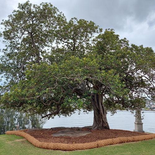 wgs_landscapemaintenance3