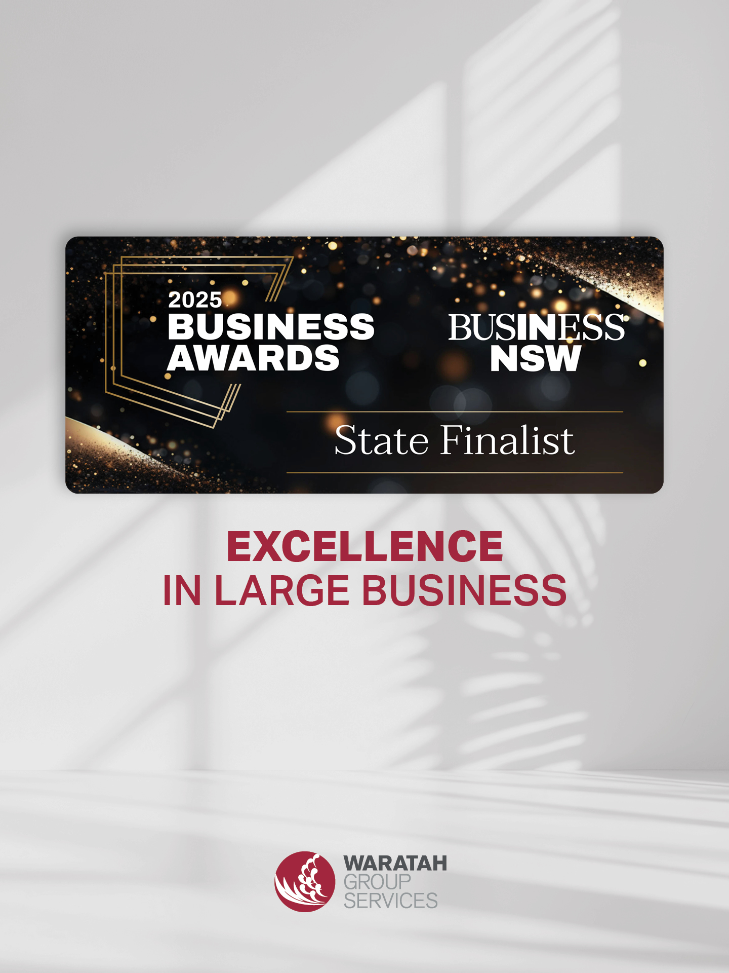 WGS announced as Winner of the Excellence in Large Business category at WSABE